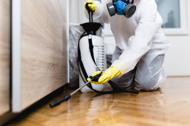 Best Affordable Pest Control Services  in Cutten, CA