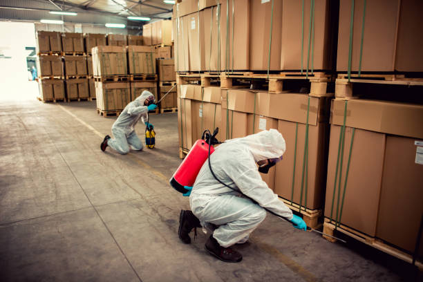 Best Residential Pest Control  in Cutten, CA