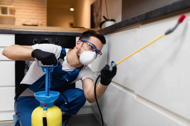 Best Best Pest Control Companies  in Cutten, CA