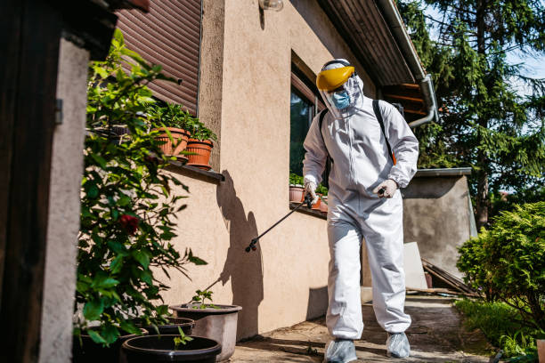 Best Rodent Control Near Me  in Cutten, CA