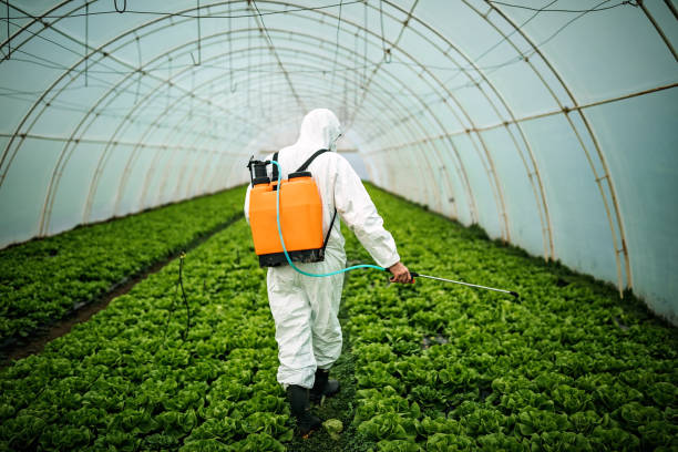 Best Pest Removal Services  in Cutten, CA