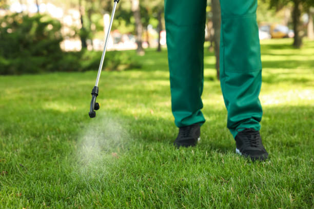 Best Best Pest Control Companies  in Cutten, CA
