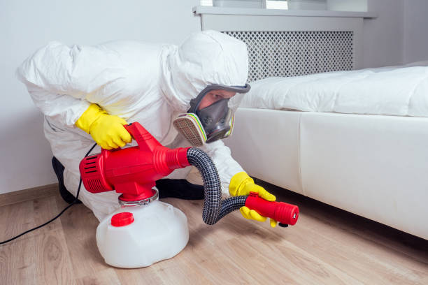 Best Emergency Pest Control  in Cutten, CA