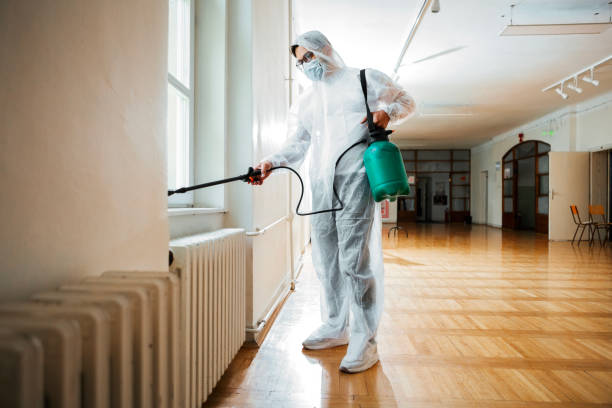 Best Cockroach Control Services  in Cutten, CA