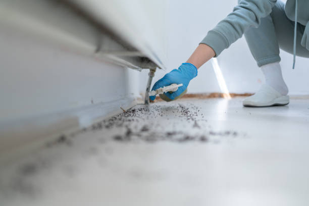 Pest Prevention Services in Cutten, CA